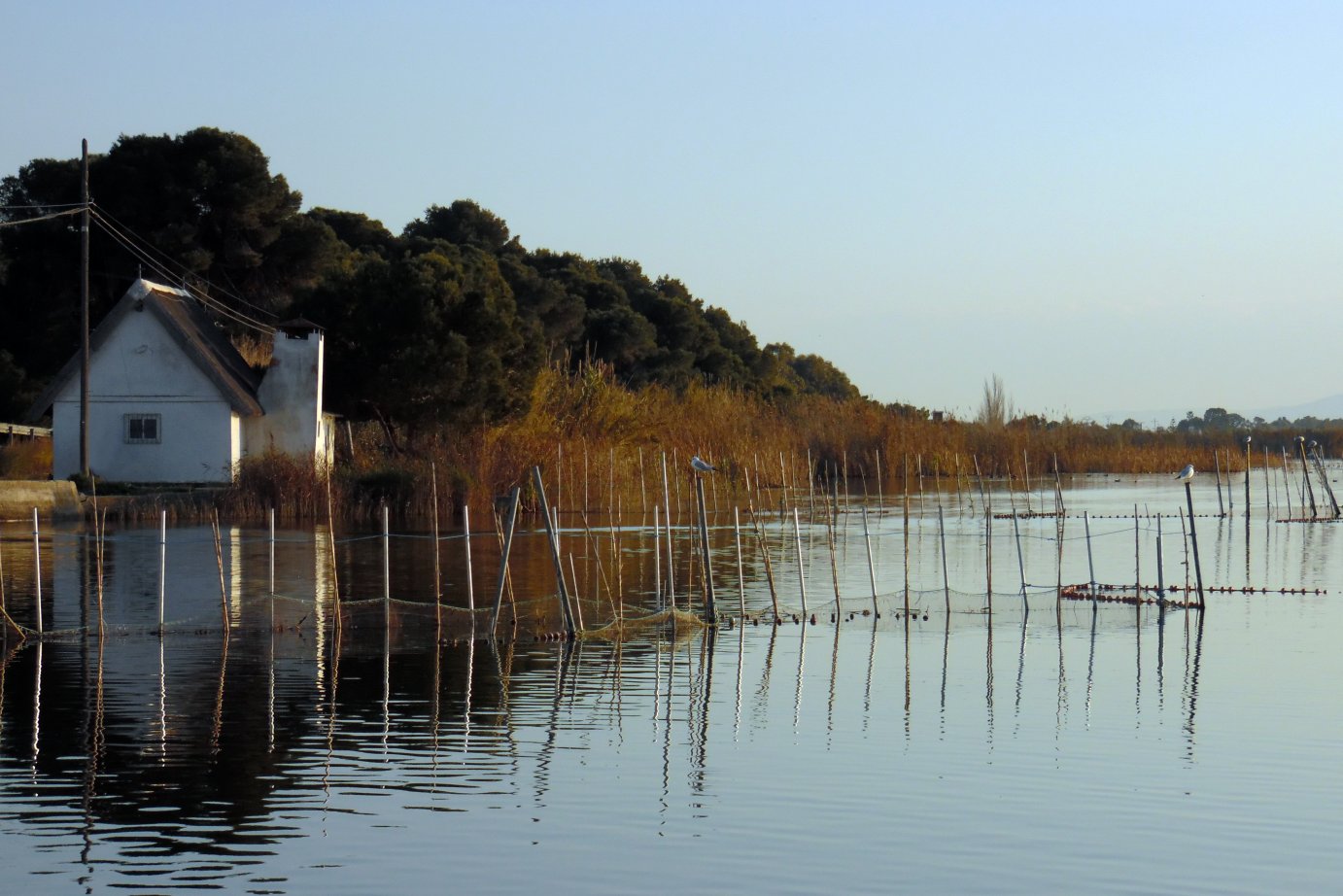 Barracas de la Albufera